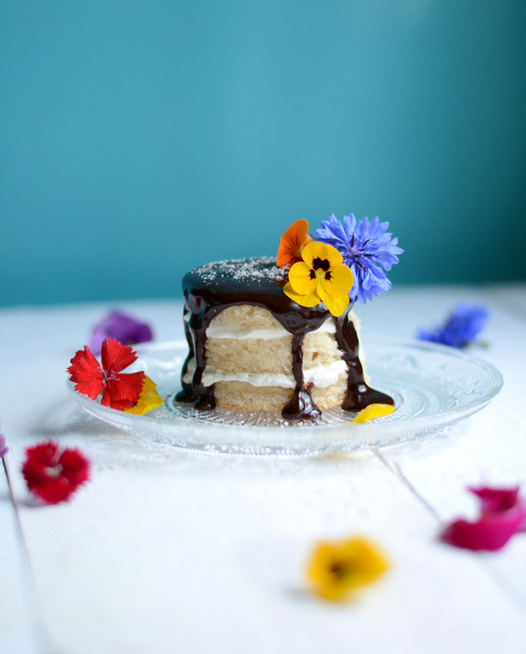 mini cake di pan di spagna vegan con glassa al cioccolato fondente