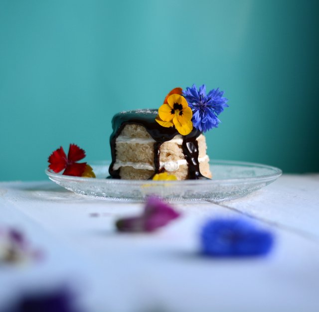 mini cake di pan di spagna vegan con glassa al cioccolato fondente